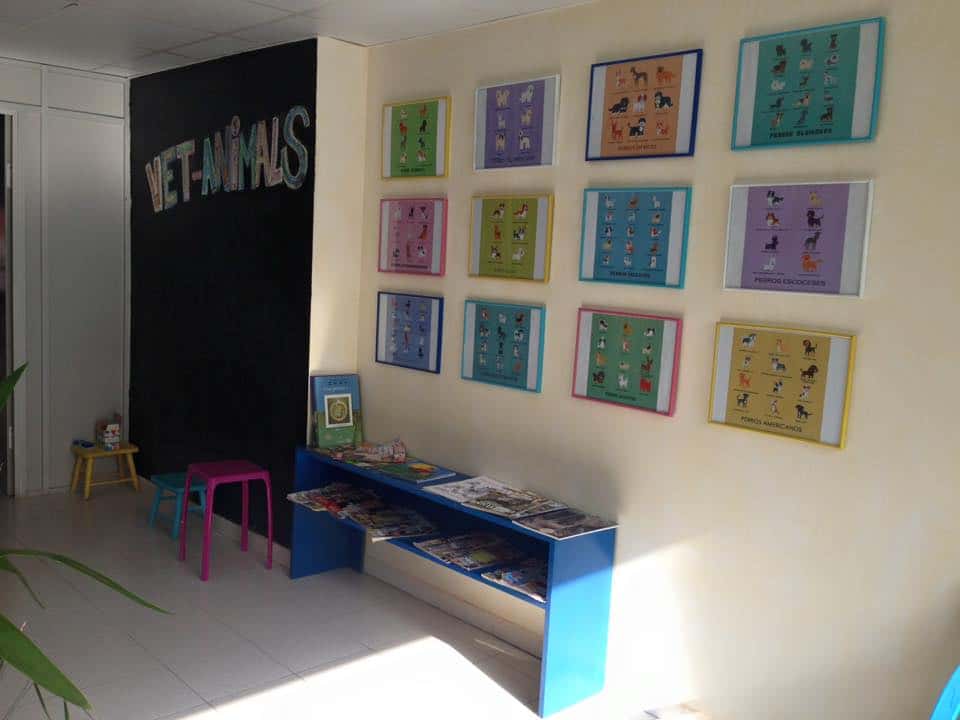 Vet-Animals Figueres
