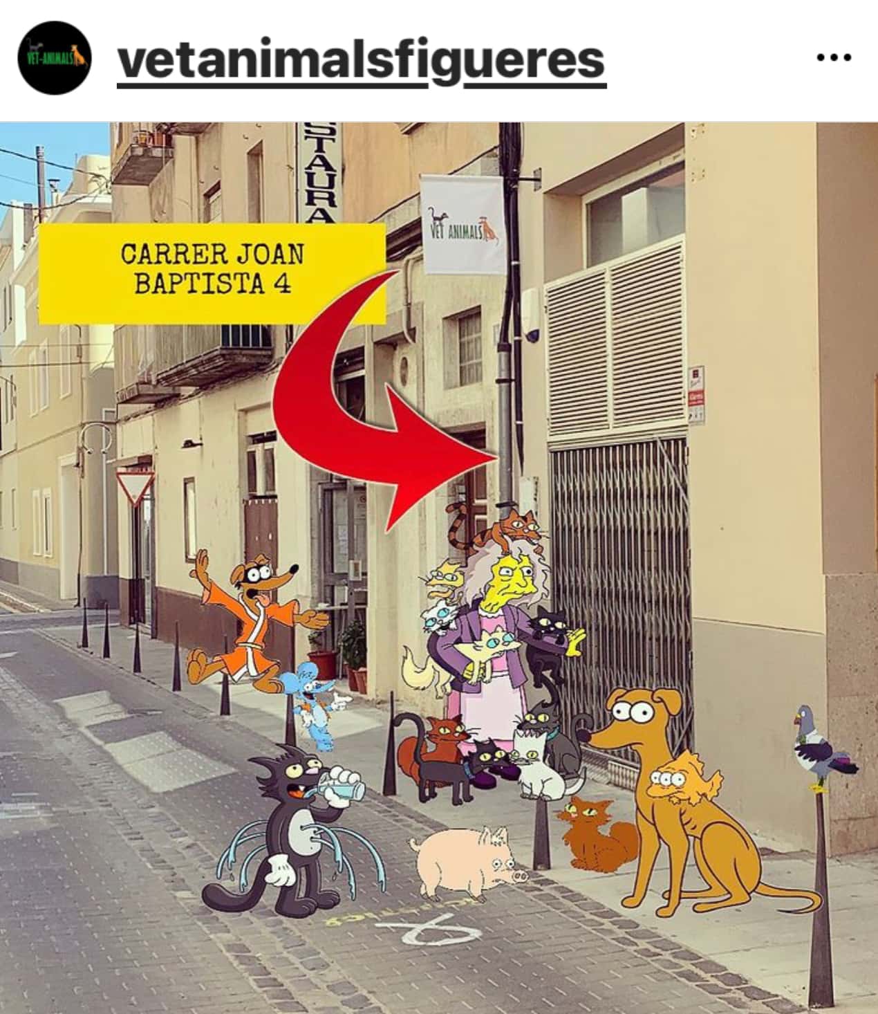 vet animals figueres veterinario centro en figueres en girona principalImage ADOPTA Sitios Pet Friendly