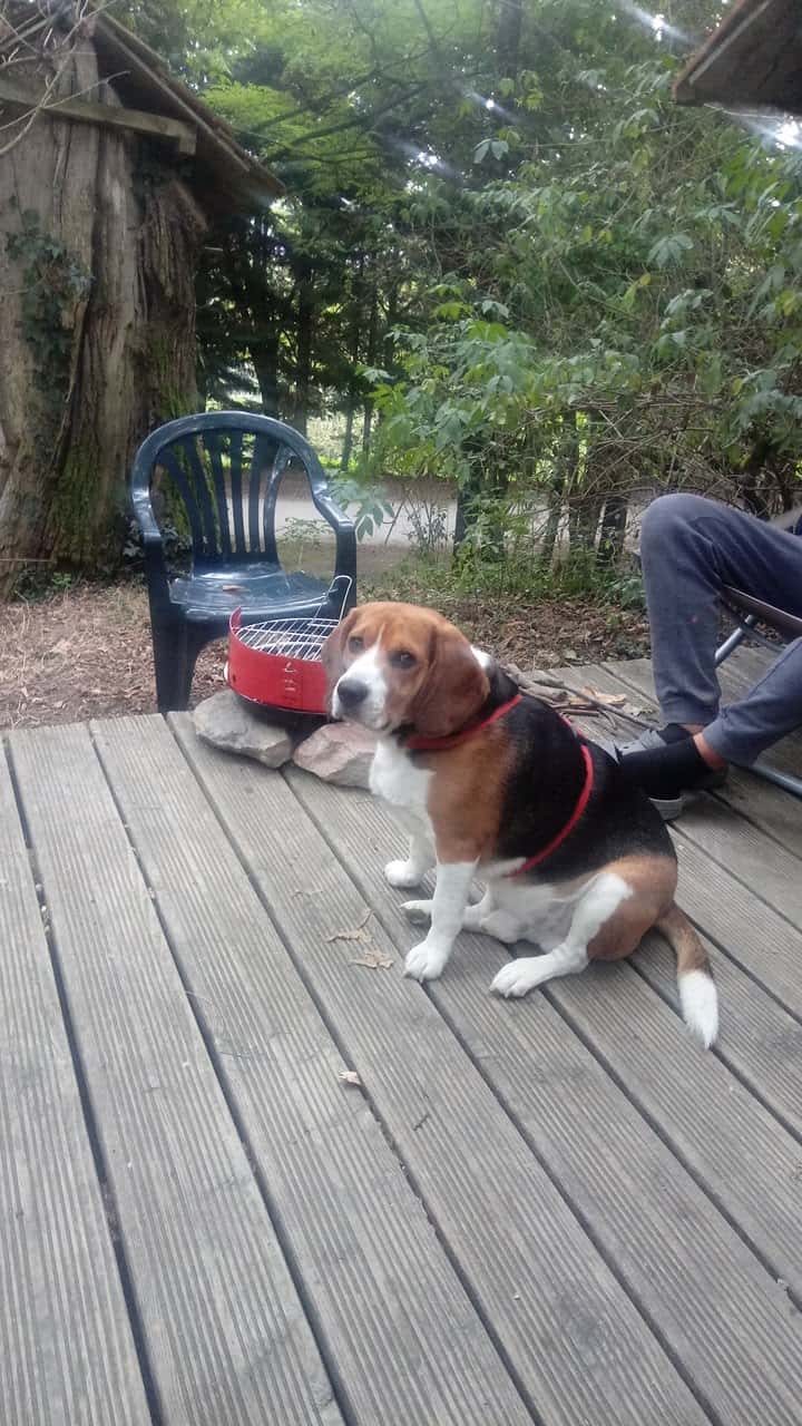 Clínica Veterinària Quissos