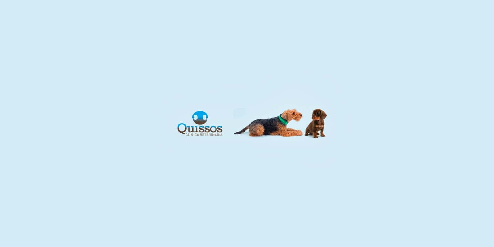 clinica veterinaria quissos veterinario clinica barrio girona en girona en girona principalImage ADOPTA Sitios Pet Friendly