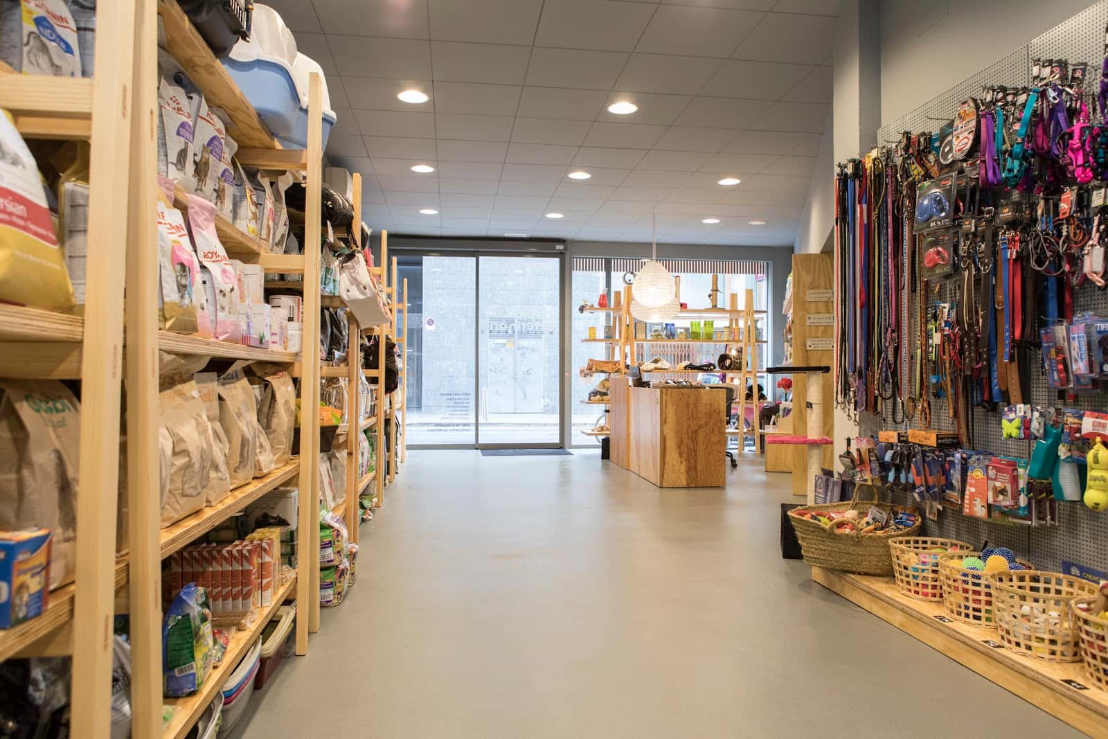 clinica veterinaria multifauna girona veterinario clinica barrio girona en girona en girona principalImage ADOPTA Sitios Pet Friendly