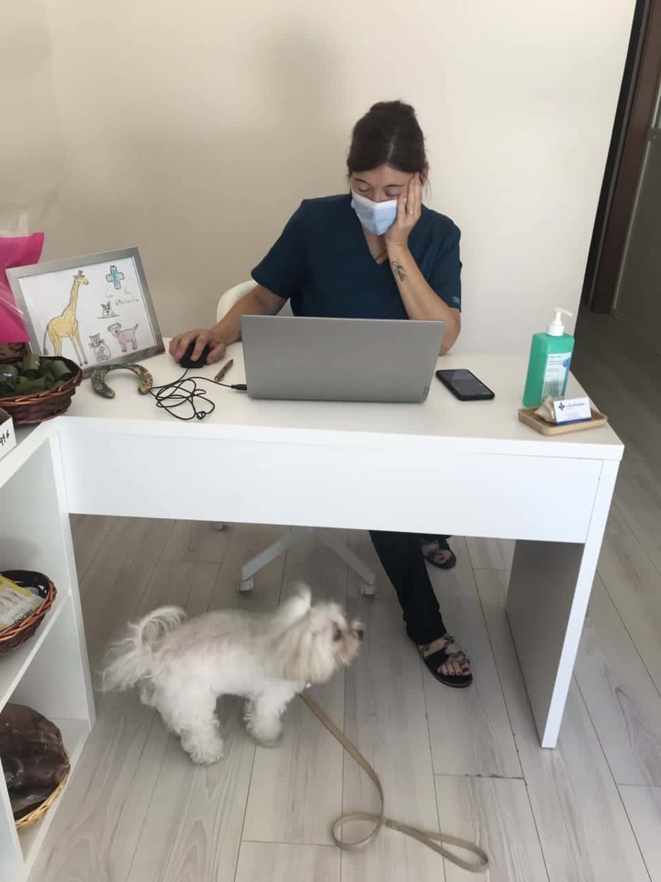 Ca la Veterinària