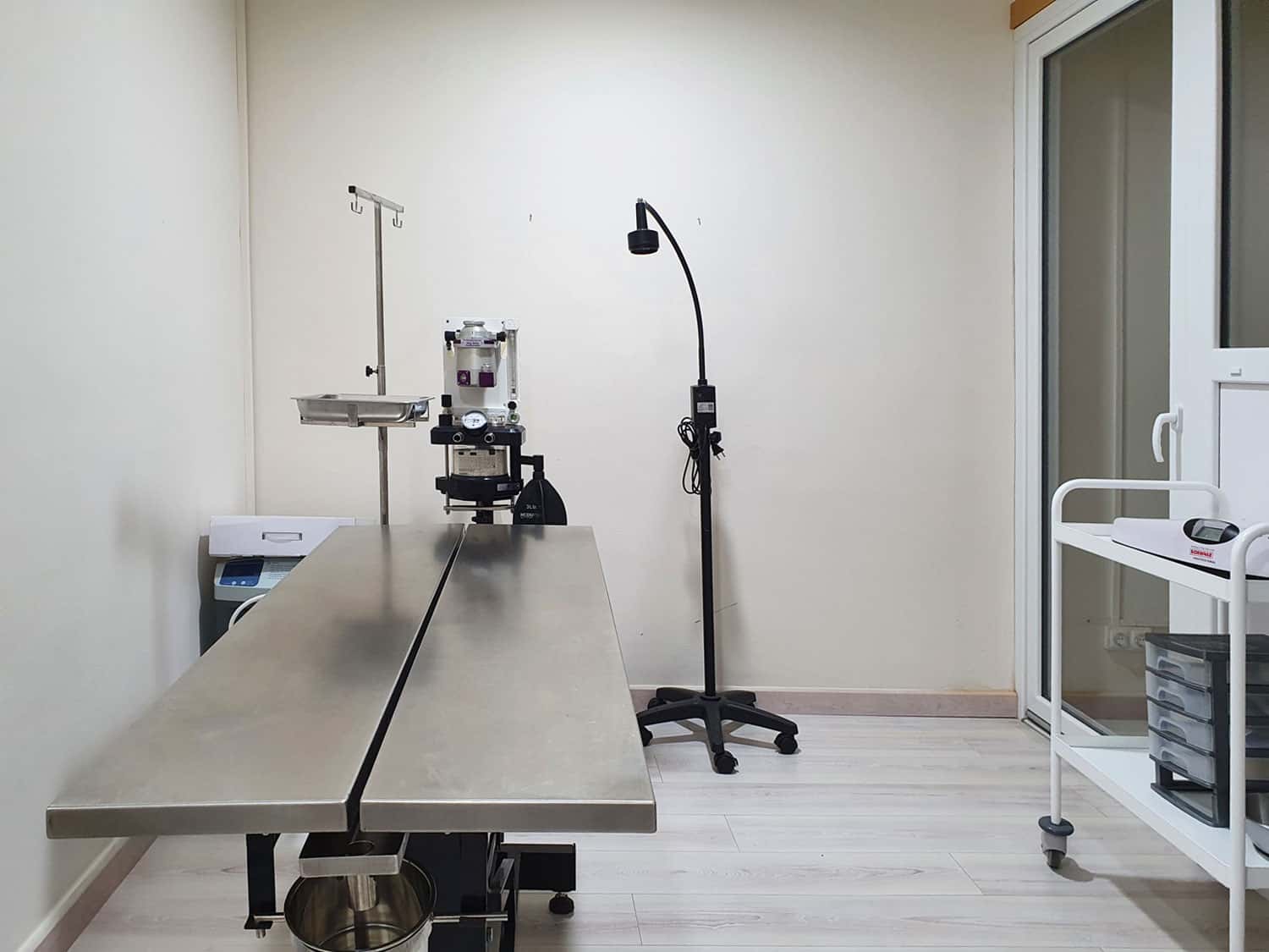 ca la veterinaria veterinario centro barrio girona en girona en girona principalImage ADOPTA Sitios Pet Friendly