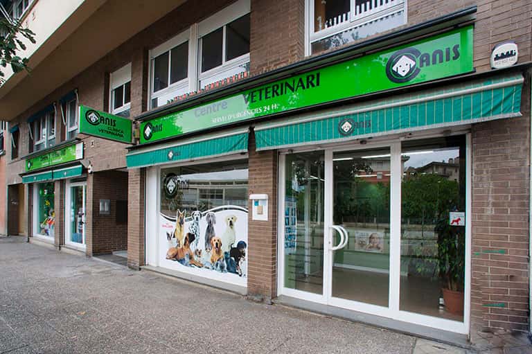 centre veterinari canis veterinario centro barrio girona en girona en girona principalImage ADOPTA Sitios Pet Friendly