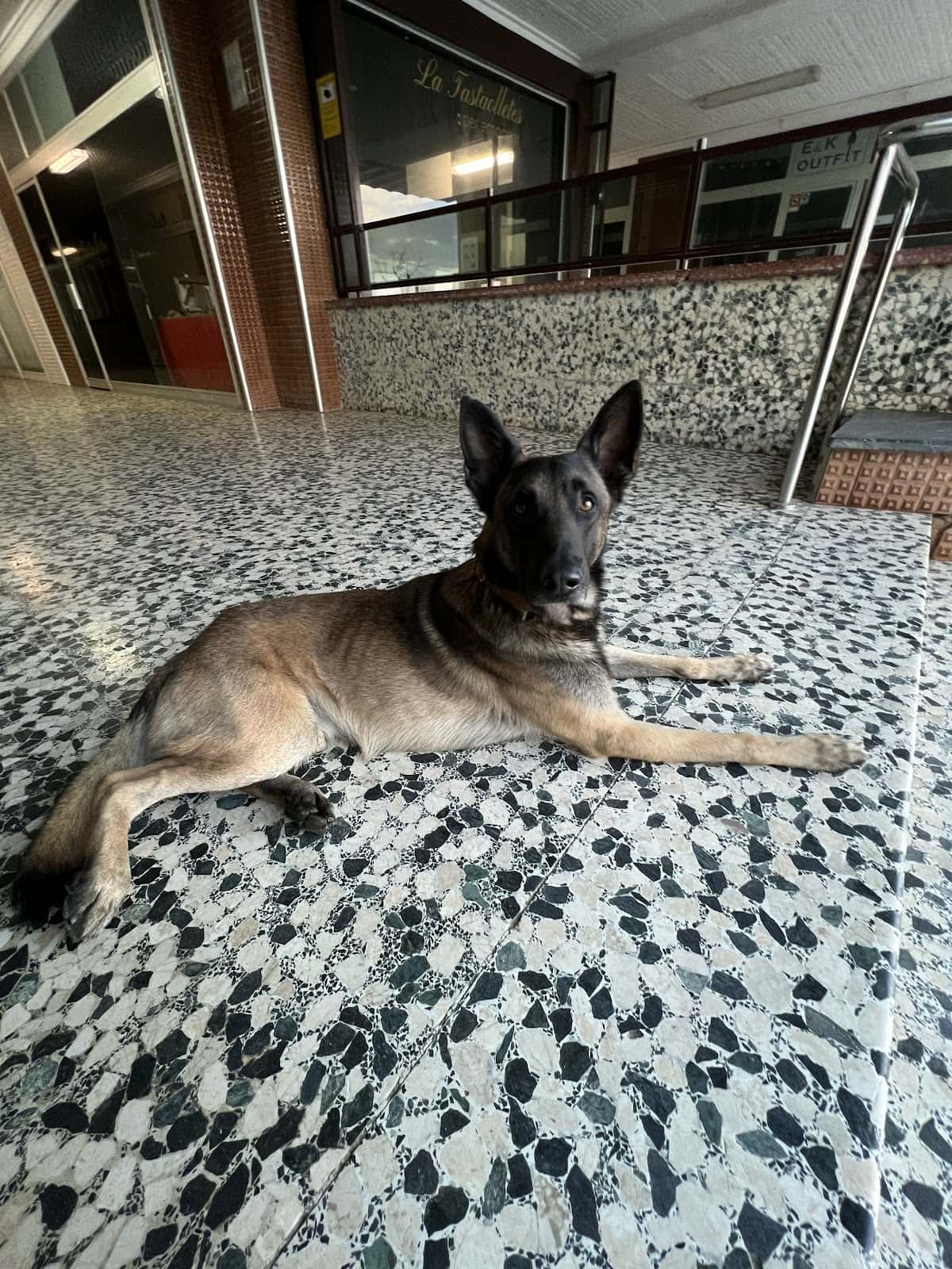 Clínica Veterinària Cadells