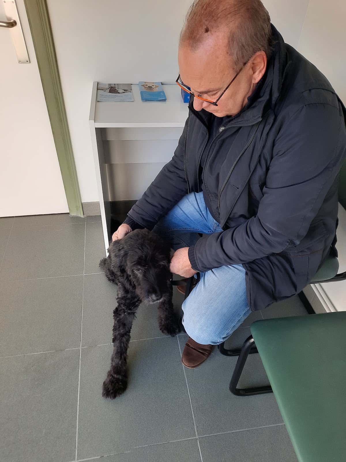 Centre Veterinari Llagostera