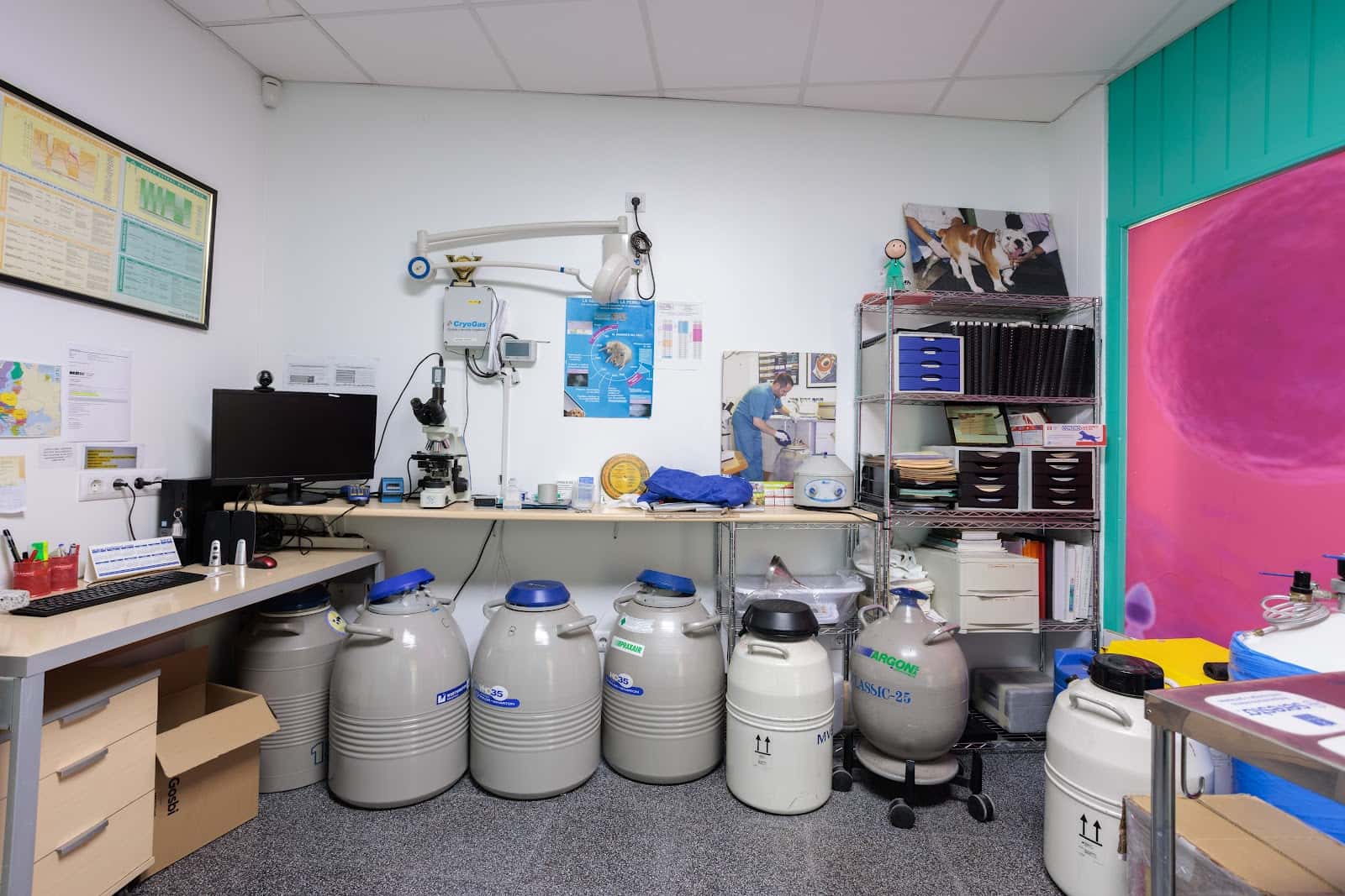 Clinican Centre Veterinari