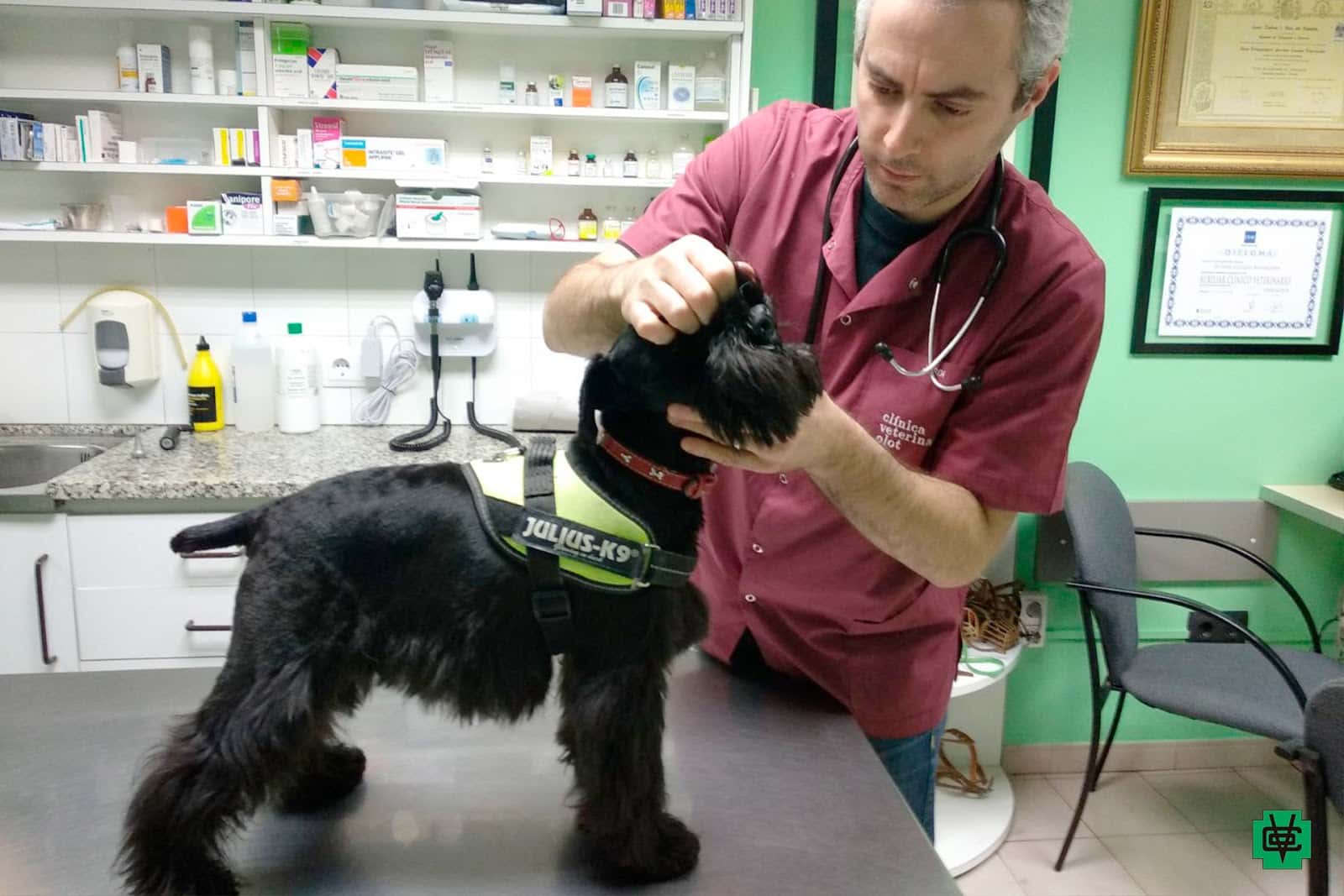 Clínica Veterinària Olot