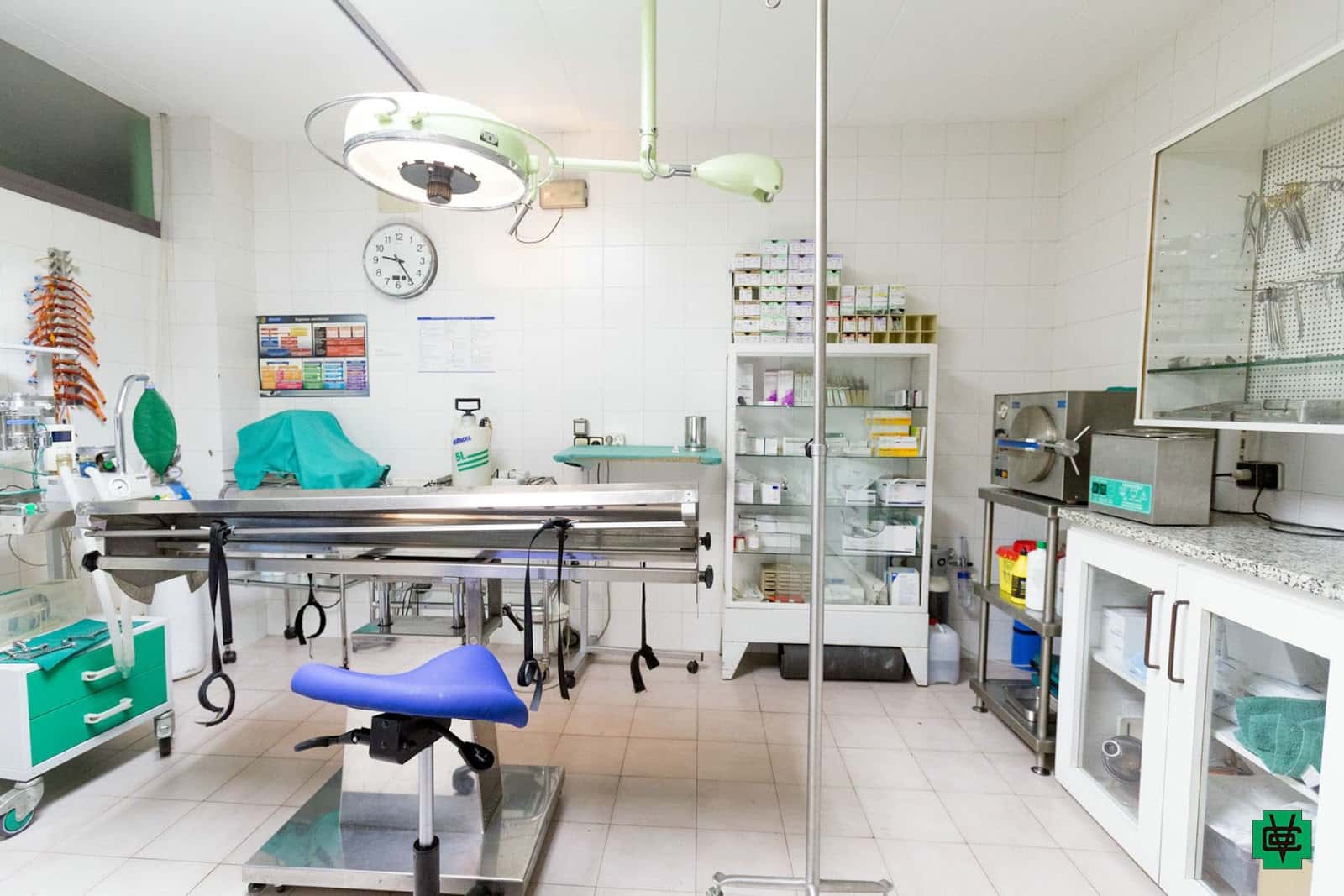 Clínica Veterinària Olot