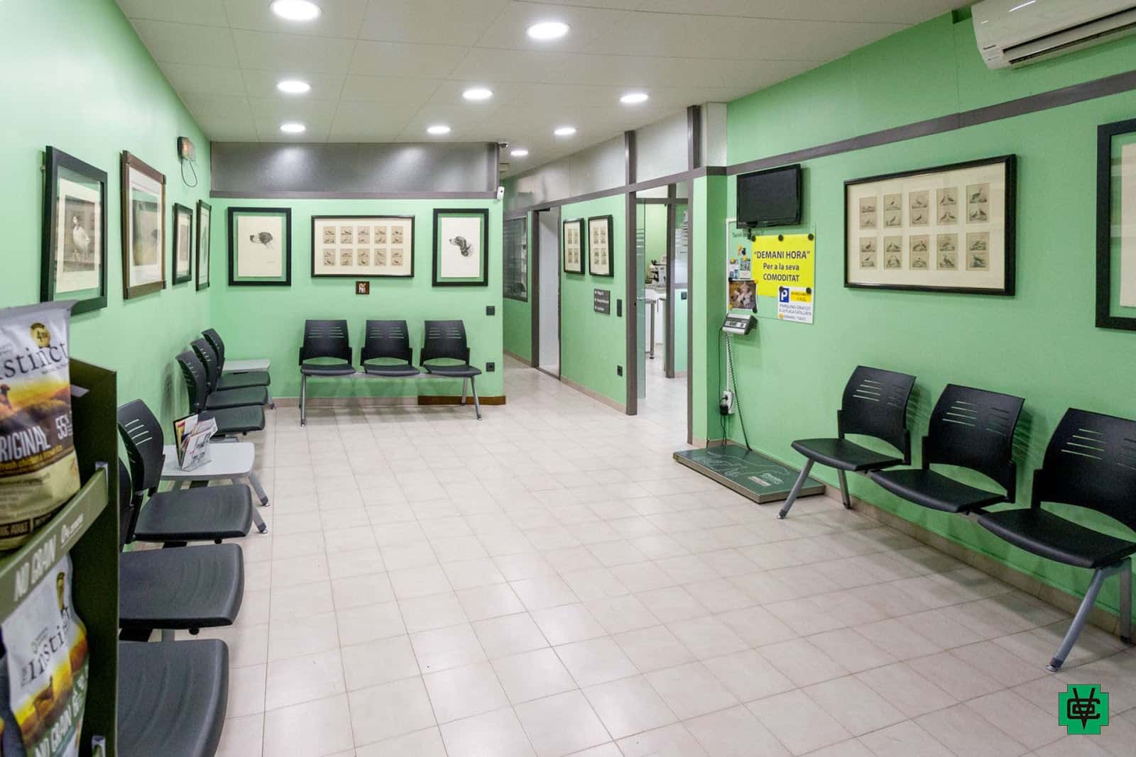 clinica veterinaria olot veterinario clinica en olot en girona principalImage ADOPTA Sitios Pet Friendly