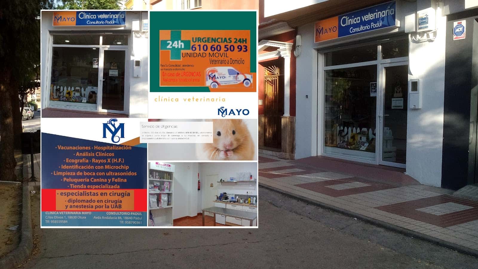 Veterinaria Padul