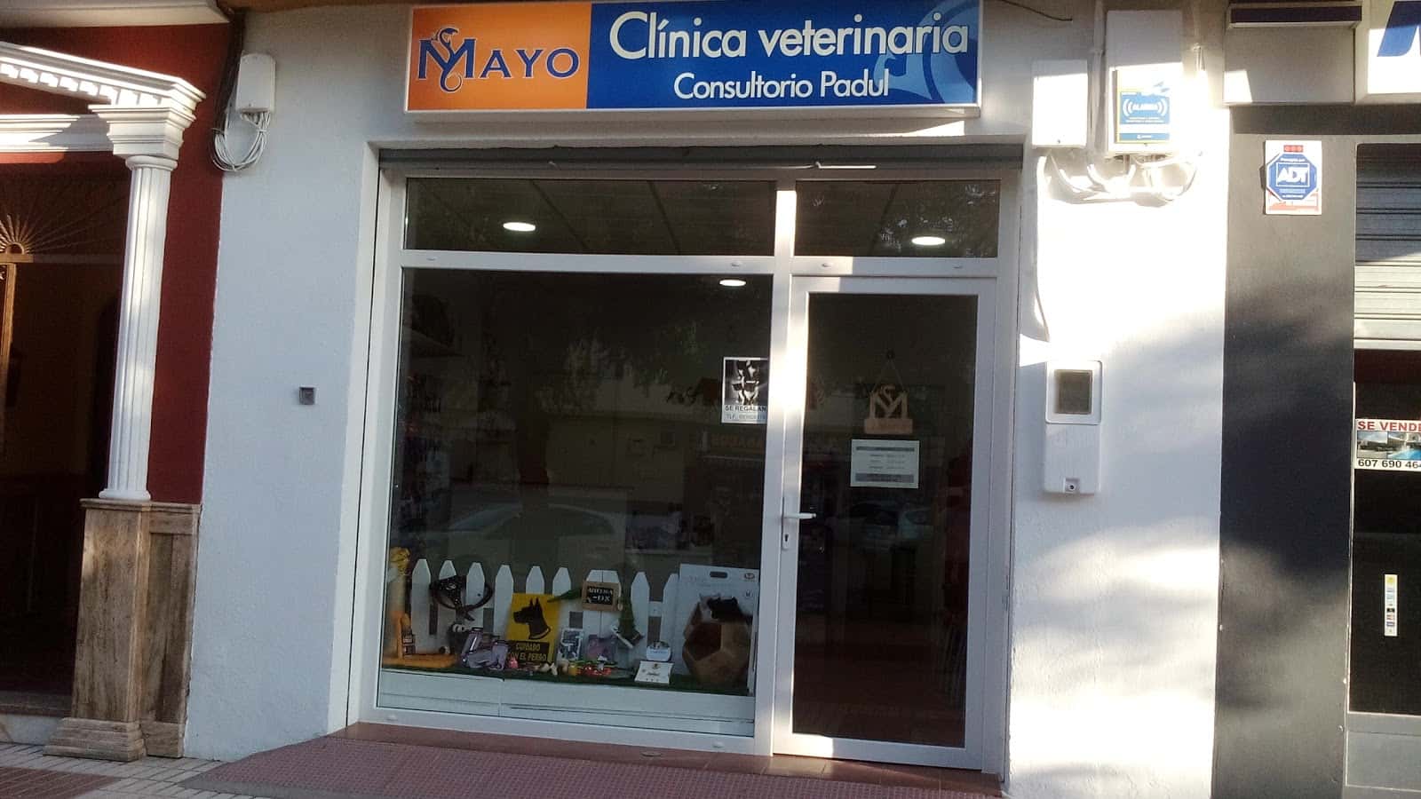 veterinaria padul veterinario centro en padul en granada principalImage ADOPTA Sitios Pet Friendly