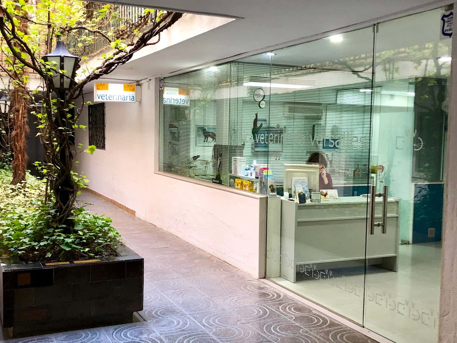 clinica veterinaria versalles veterinario clinica barrio centro en granada en granada principalImage ADOPTA Sitios Pet Friendly