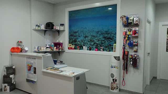 Clinica Veterinaria Mediterraneo