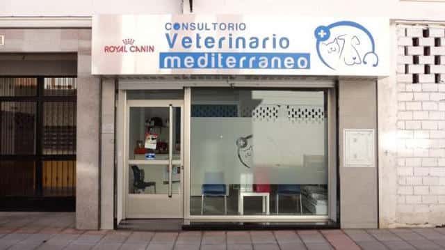 clinica veterinaria mediterraneo veterinario clinica en cenes de la vega en granada photo undefined ADOPTA Sitios Pet Friendly