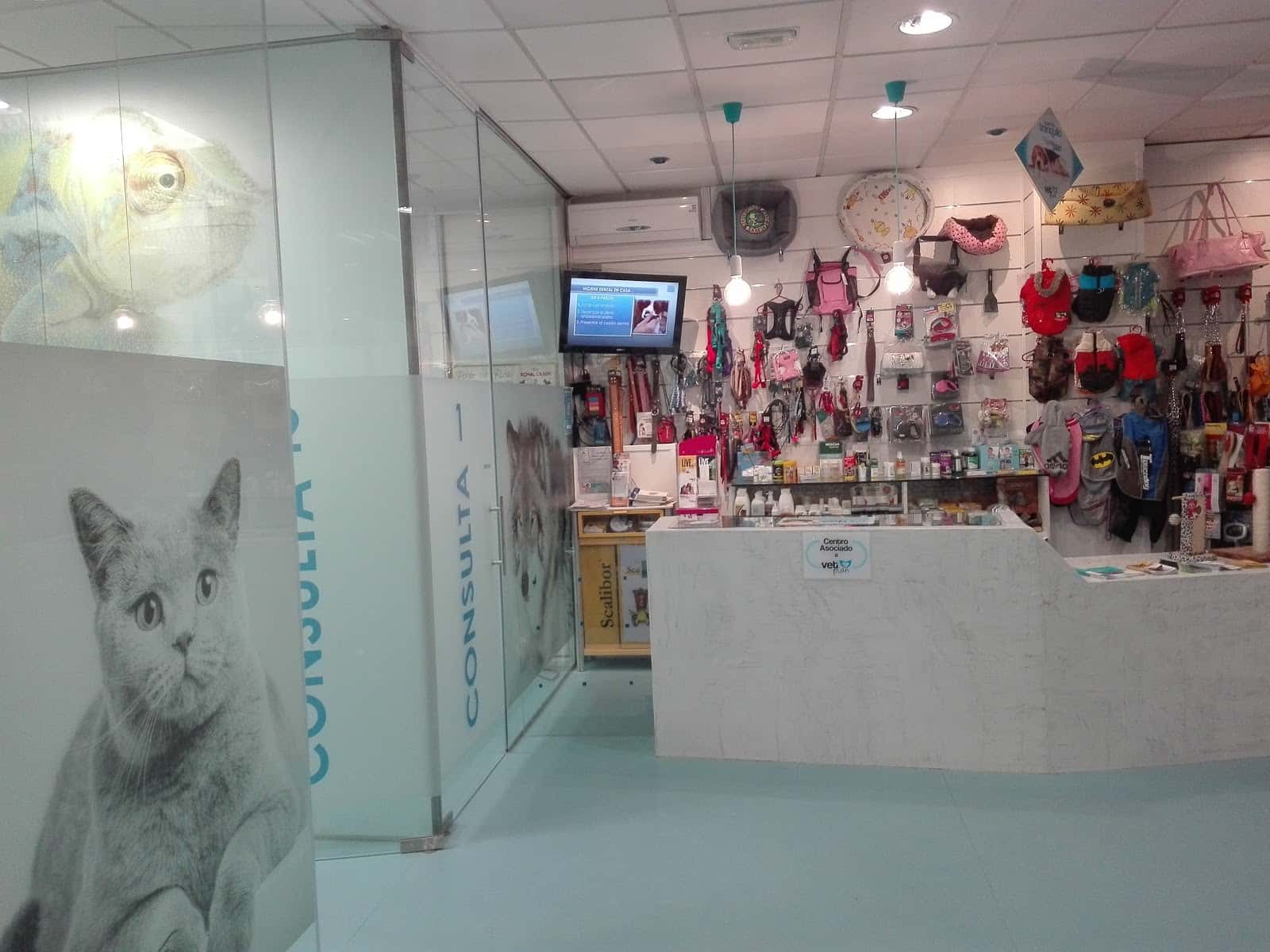 Clínica Veterinaria Primavera
