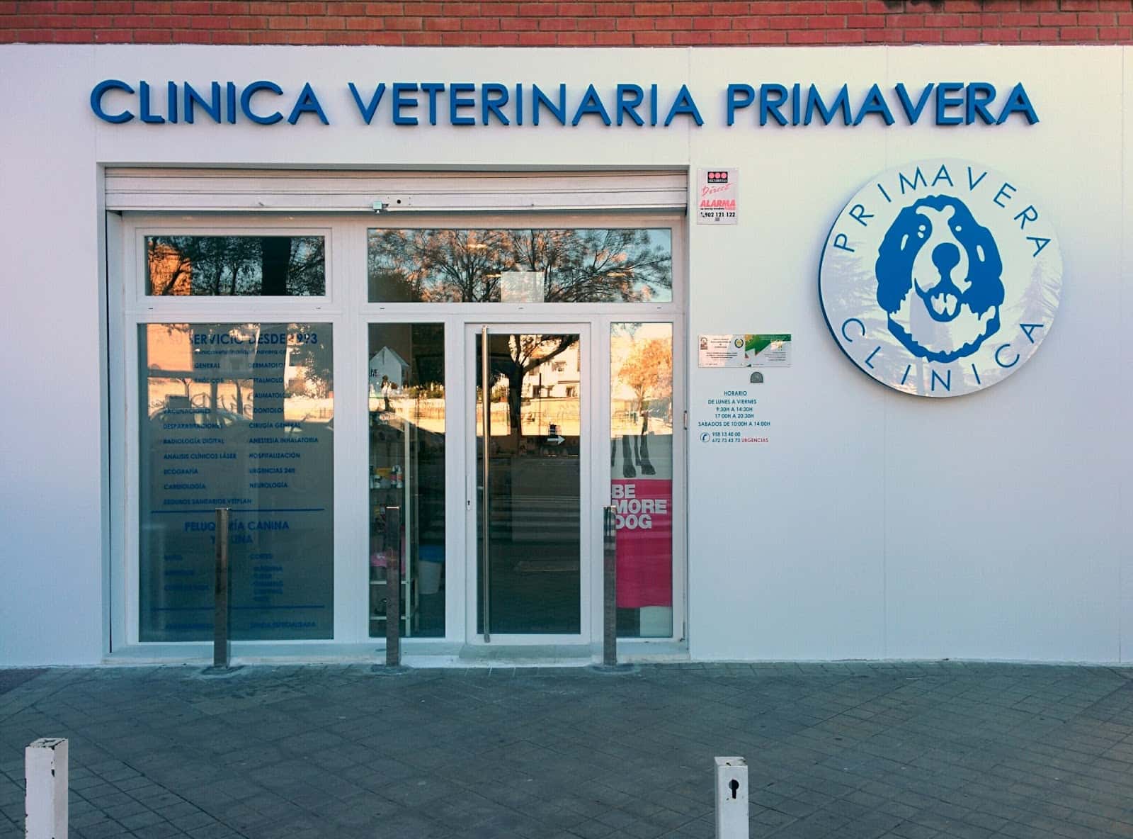 clinica veterinaria primavera veterinario clinica barrio genil en granada en granada principalImage ADOPTA Sitios Pet Friendly