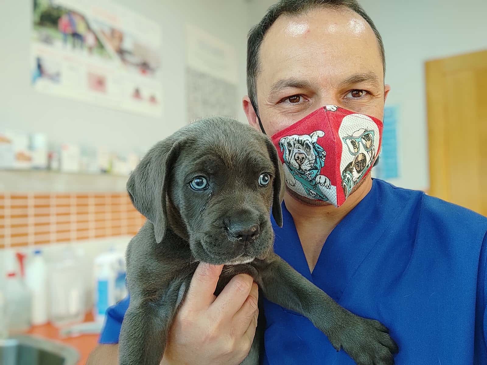clinica veterinaria argos veterinario clinica en maracena en granada principalImage ADOPTA Sitios Pet Friendly