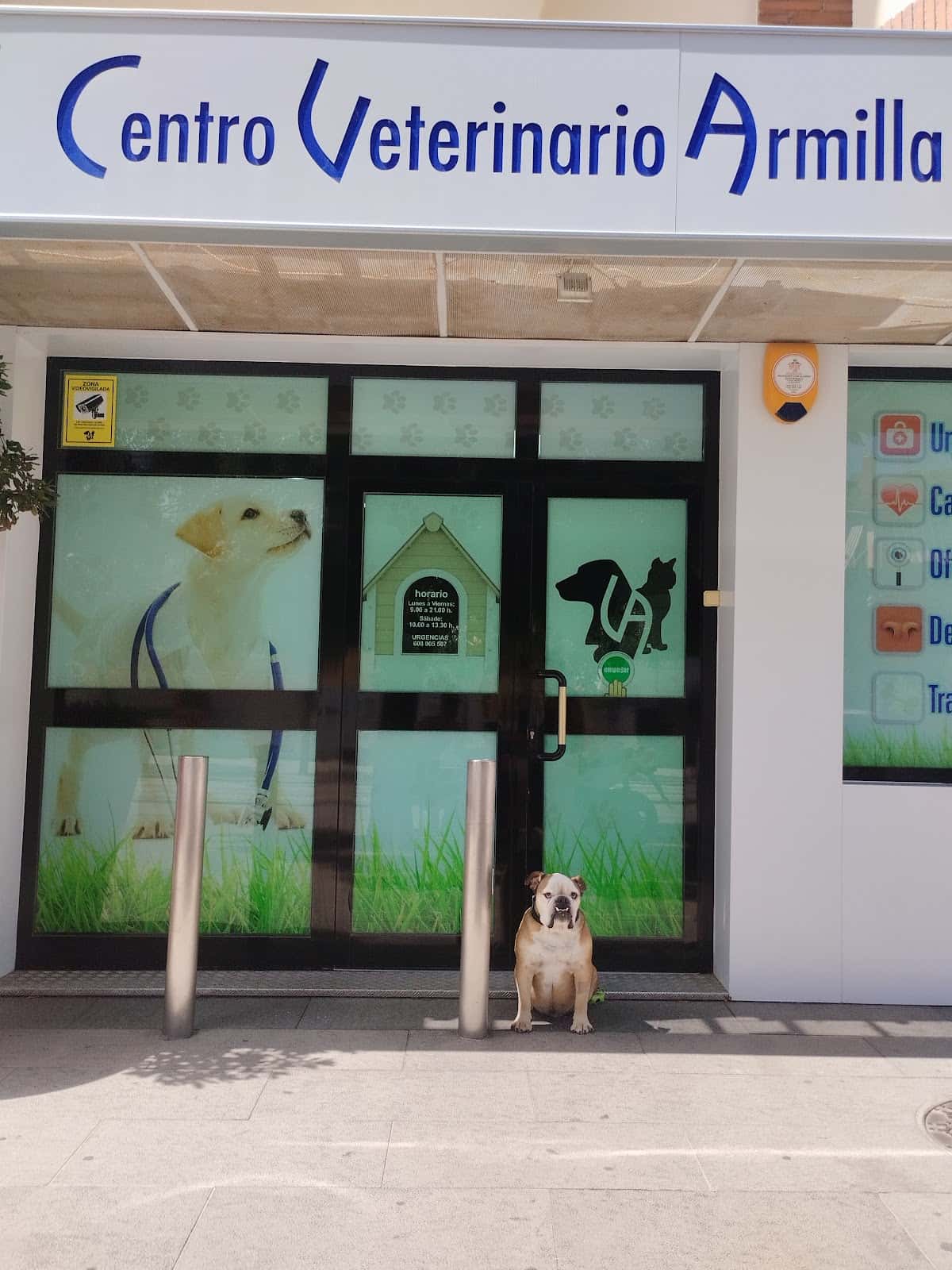clinica veterinaria armilla veterinario clinica en armilla en granada principalImage ADOPTA Sitios Pet Friendly