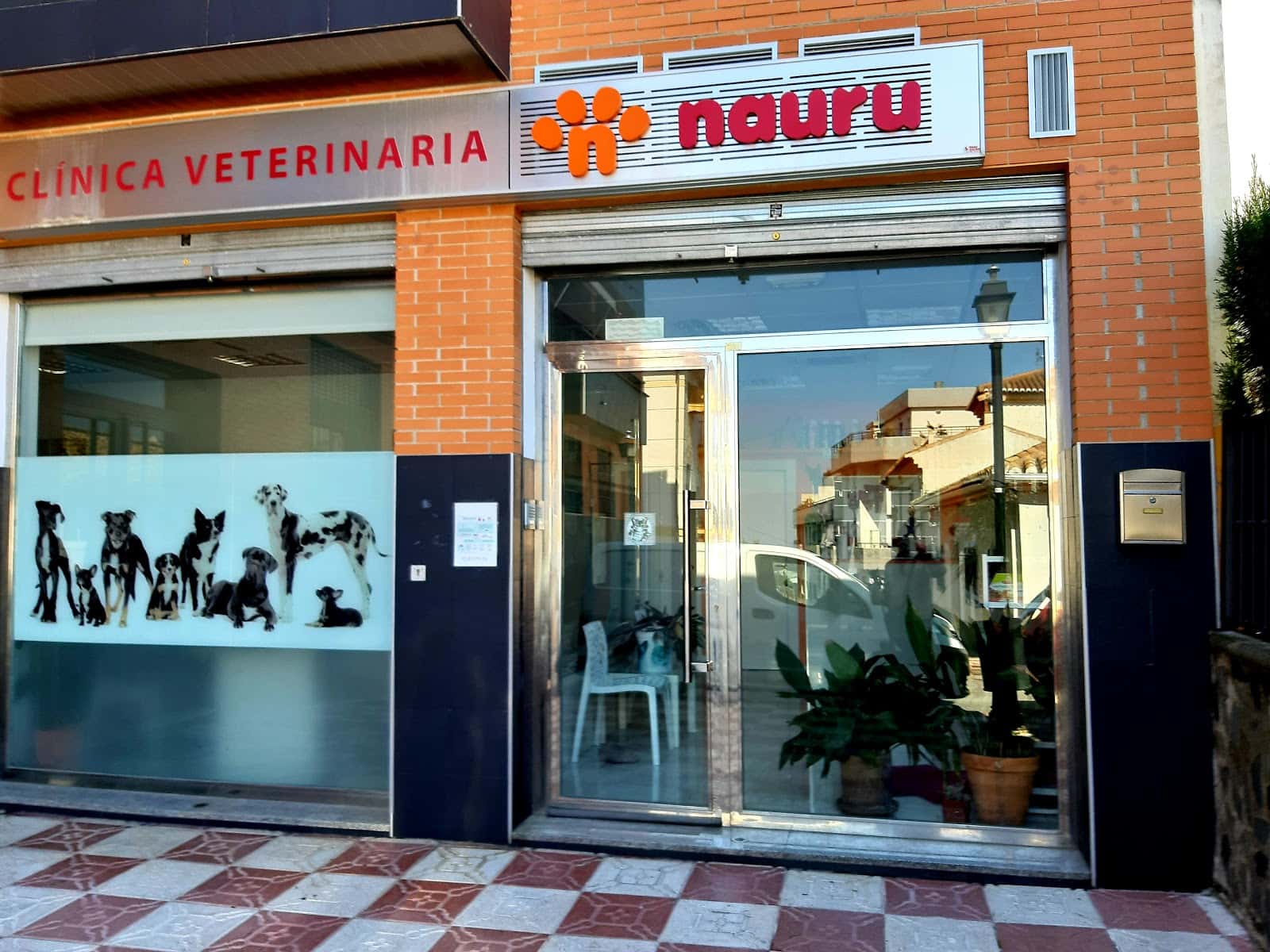 clinica veterinaria nauru veterinario clinica en la zubia en granada photo undefined ADOPTA Sitios Pet Friendly