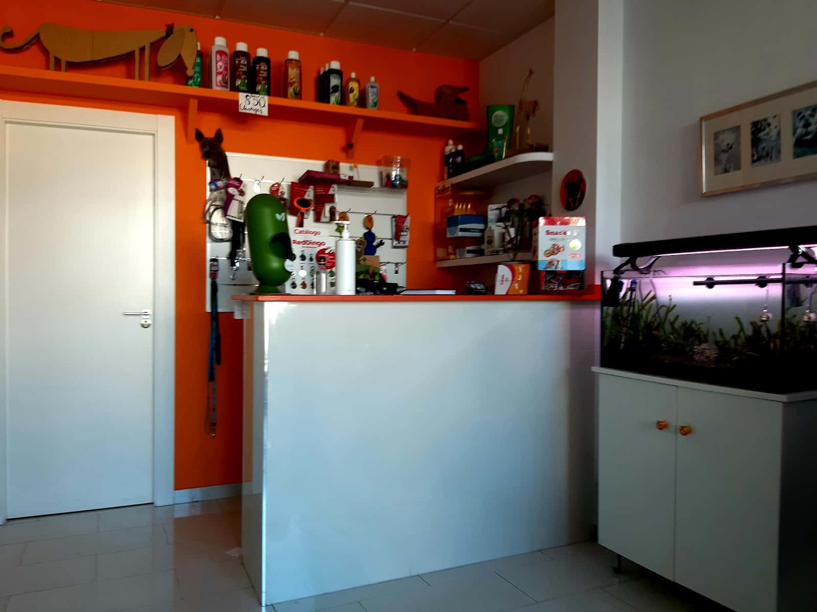 Clínica Veterinaria Nauru