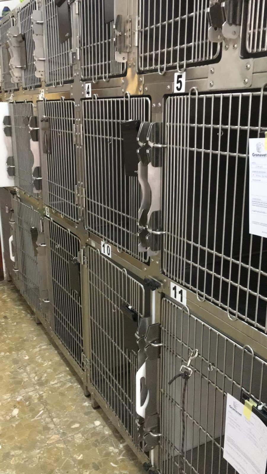 Clínica Veterinaria Granavet Churriana (Granada)