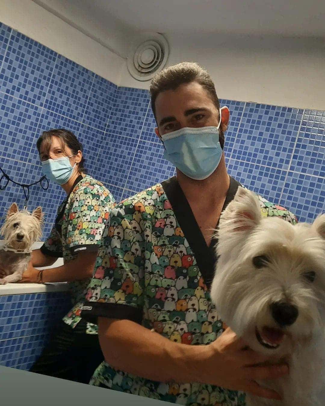 Clínica veterinaria Darwin