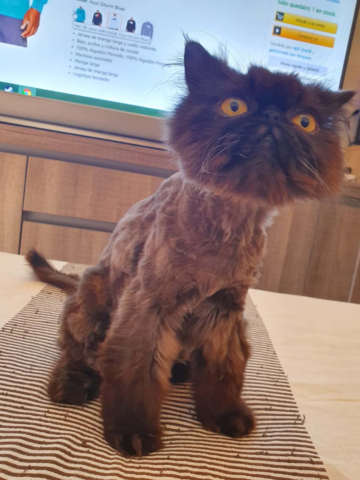 Clínica Veterinaria ALBICAN