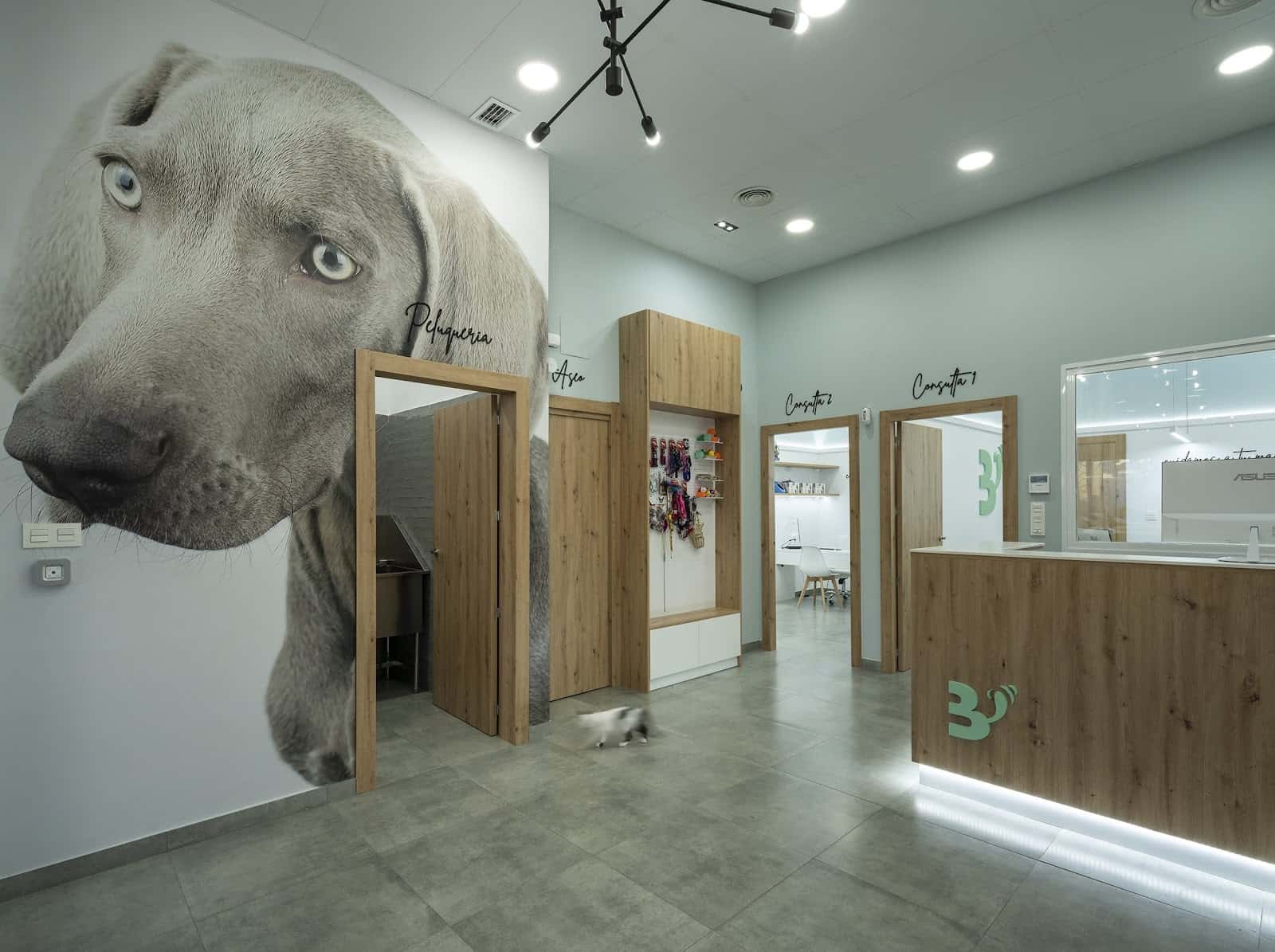 CLINICA VETERINARIA BULYANA
