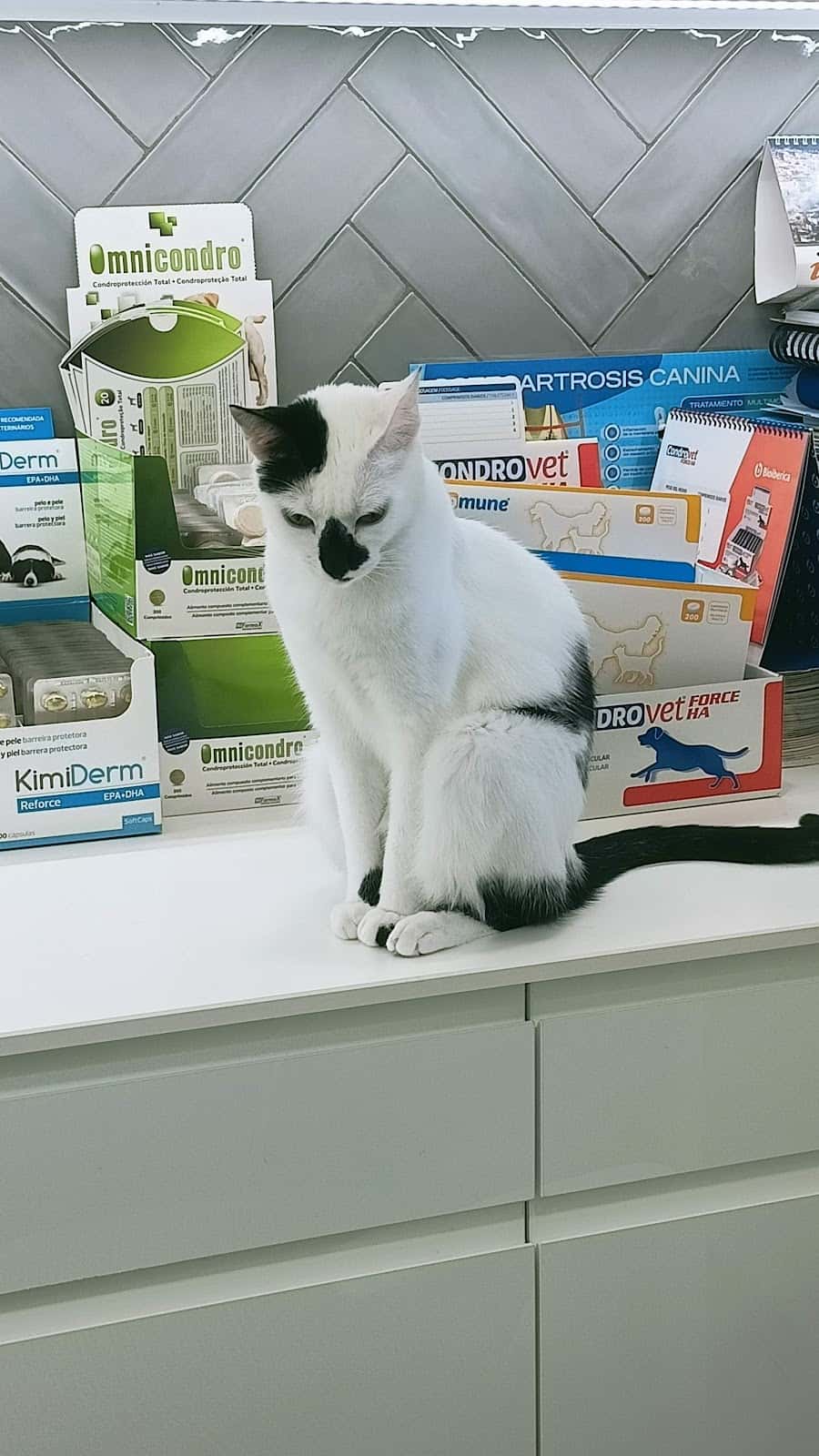 CLINICA VETERINARIA BULYANA