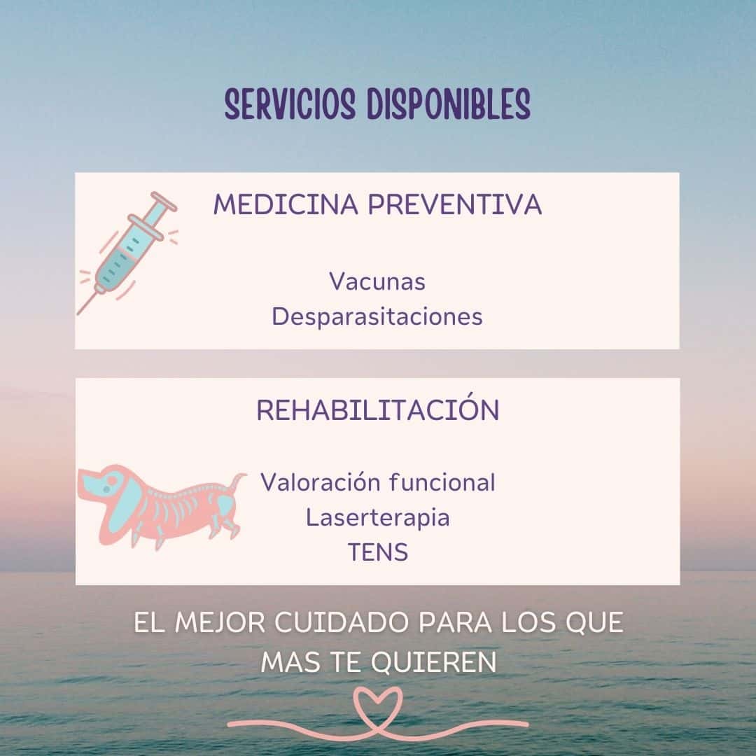 MUNAï·VET