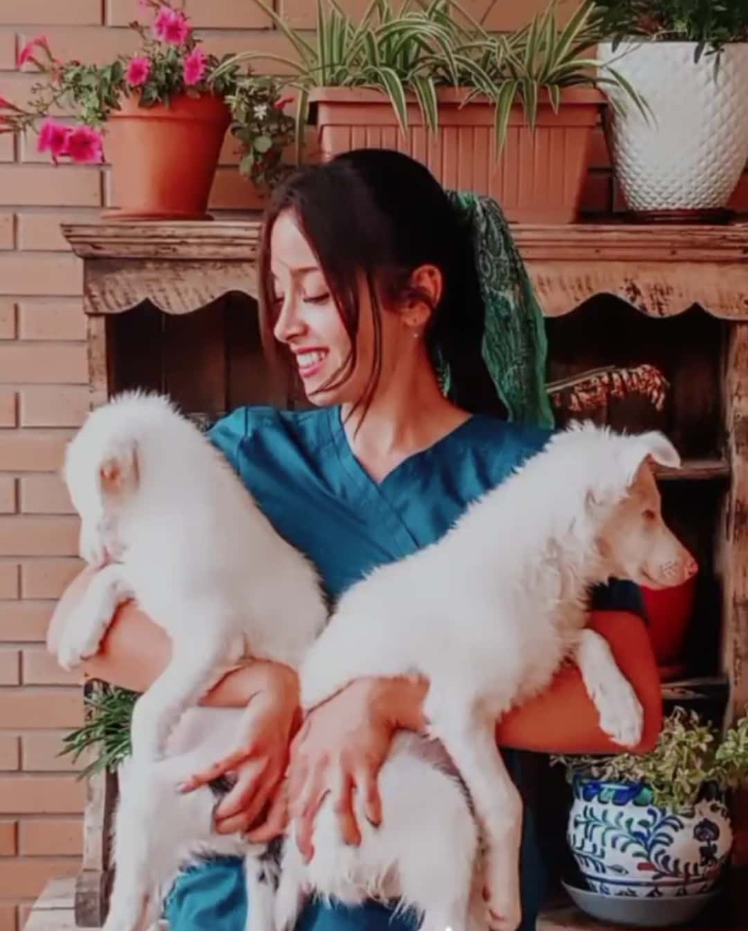 munai·vet veterinario centro en la herradura en granada principalImage ADOPTA Sitios Pet Friendly