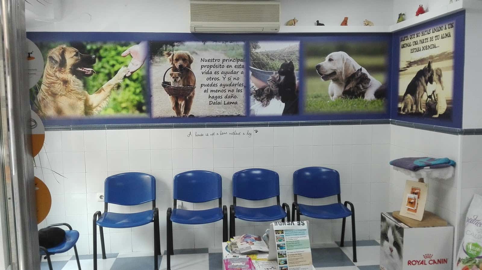 Clínica Veterinaria Pontes