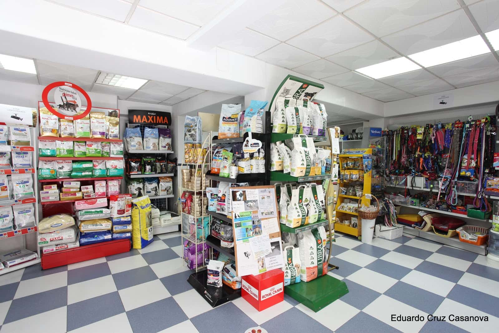 clinica veterinaria pontes veterinario clinica en almunecar en granada principalImage ADOPTA Sitios Pet Friendly