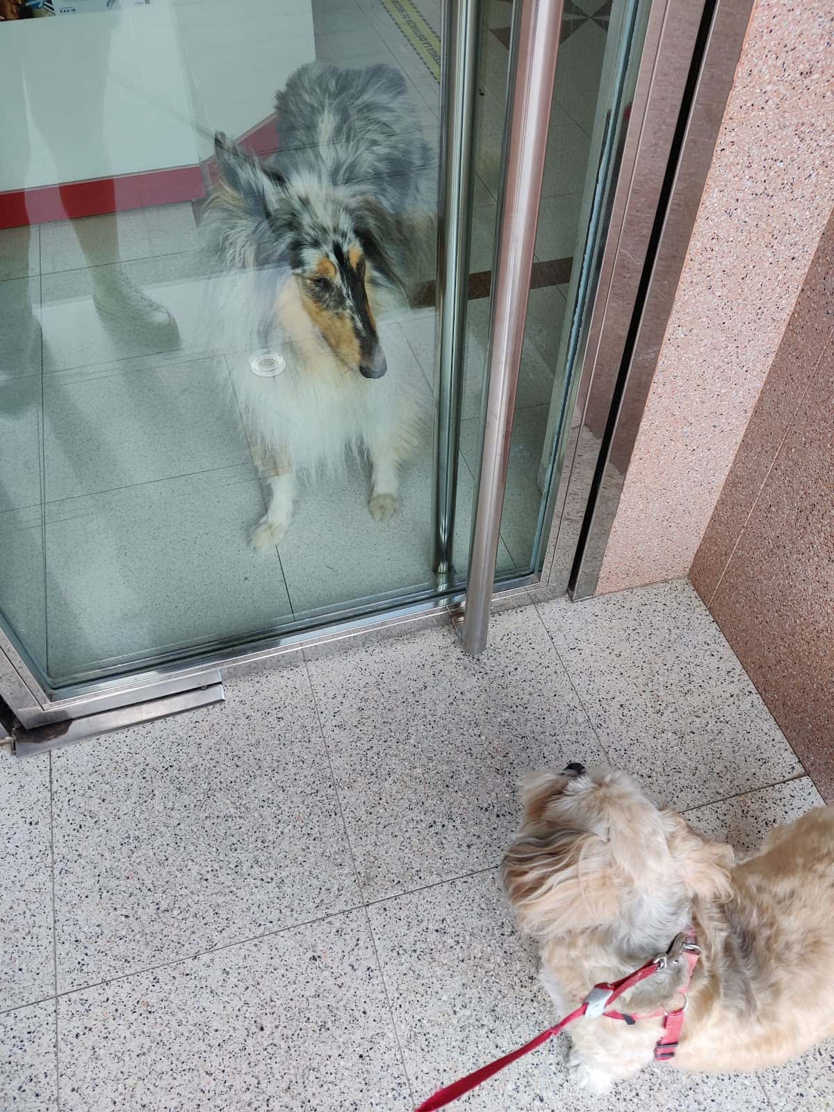 Clínica Veterinaria Mediterránea