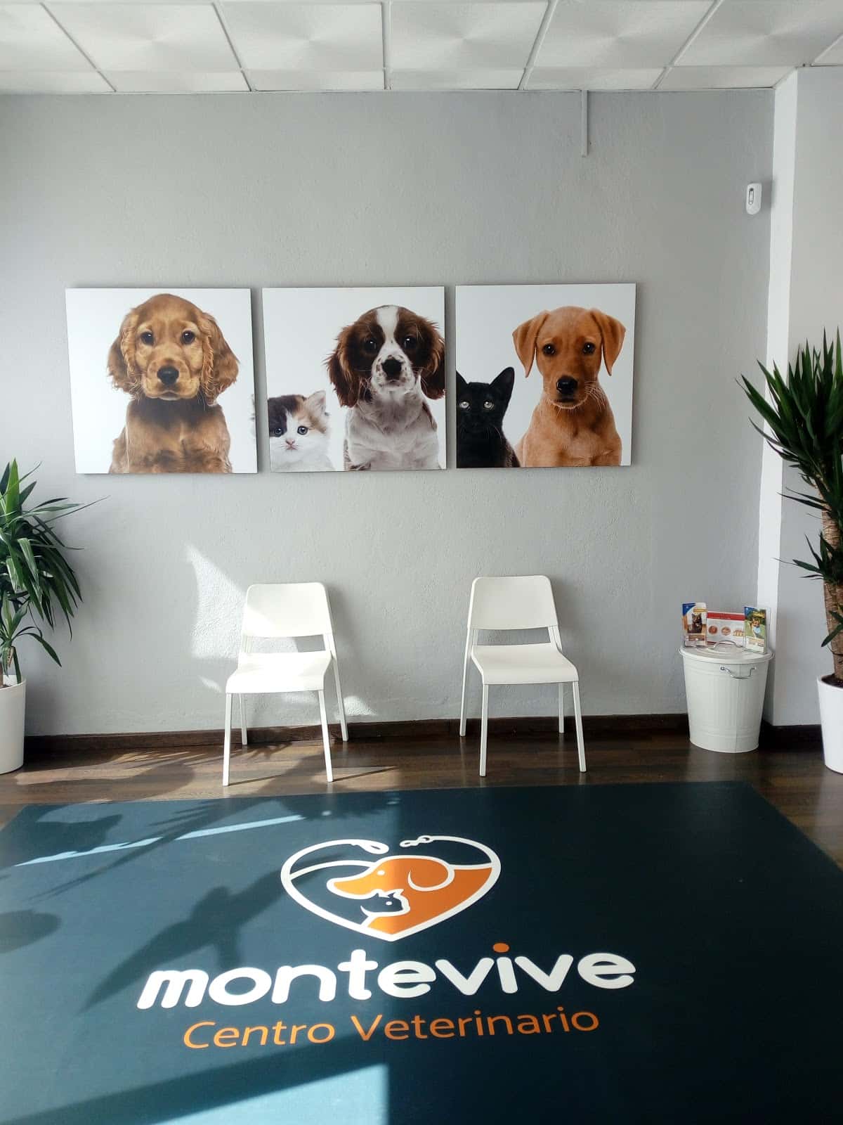 Centro Veterinario Montevive