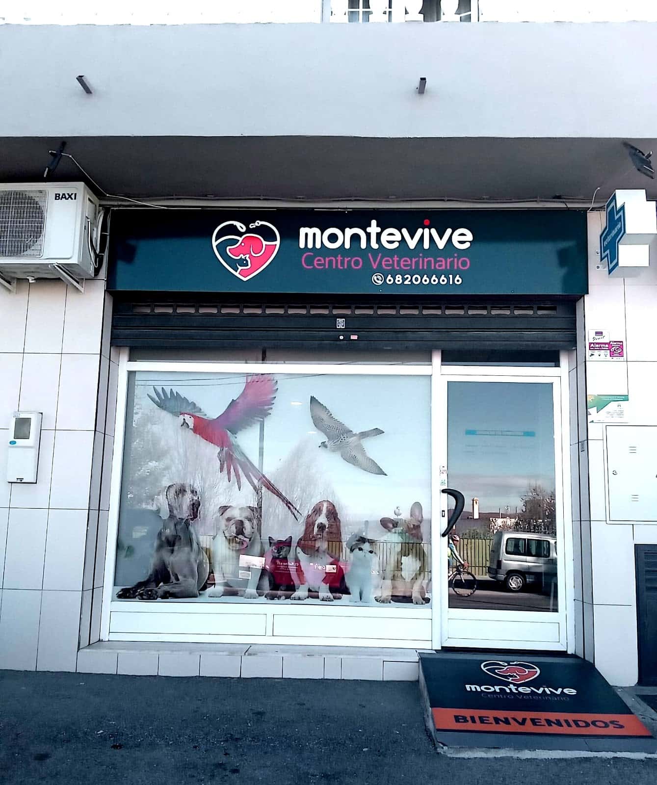 centro veterinario montevive veterinario centro en alhendin en granada principalImage ADOPTA Sitios Pet Friendly