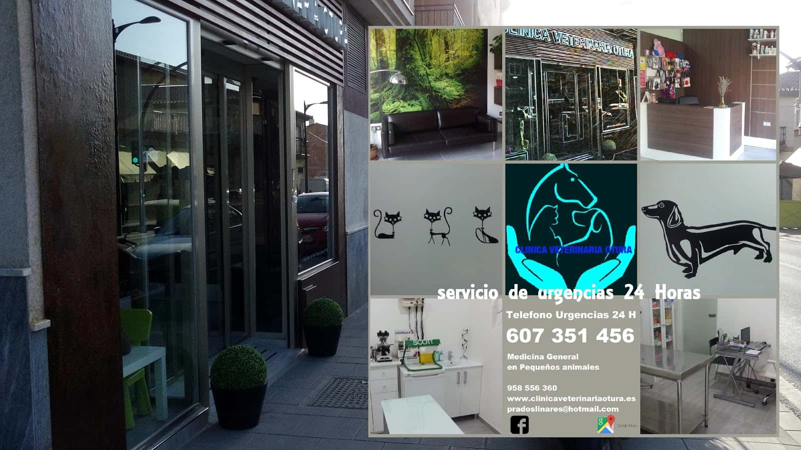 CLINÍCA VETERINARIA OTURA