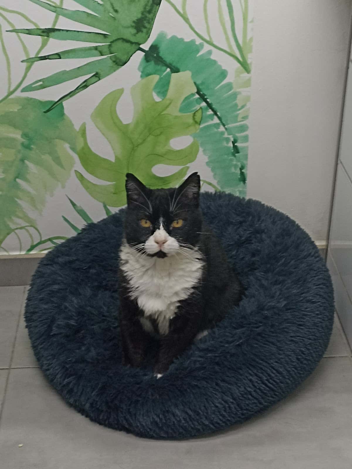 CLINÍCA VETERINARIA OTURA