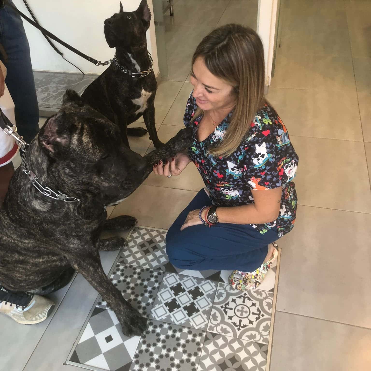 CLINÍCA VETERINARIA OTURA