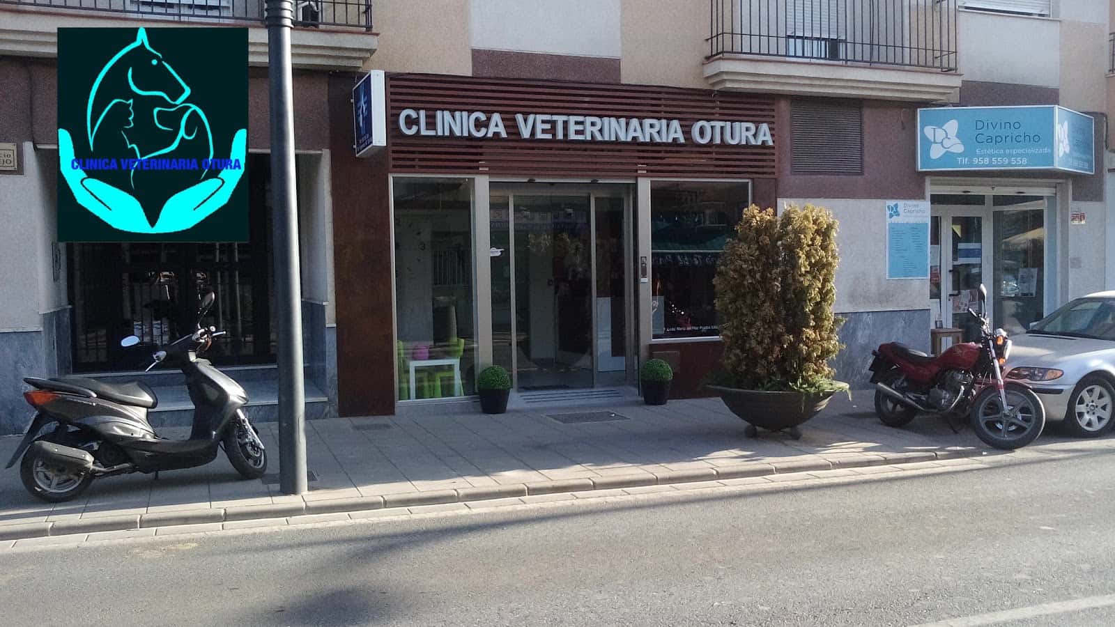 clinica veterinaria otura veterinario clinica en otura en granada principalImage ADOPTA Sitios Pet Friendly