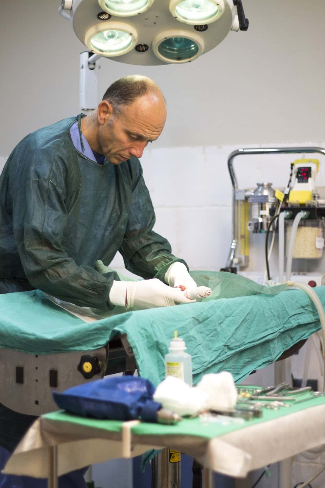 Clínica veterinaria Las Gabias