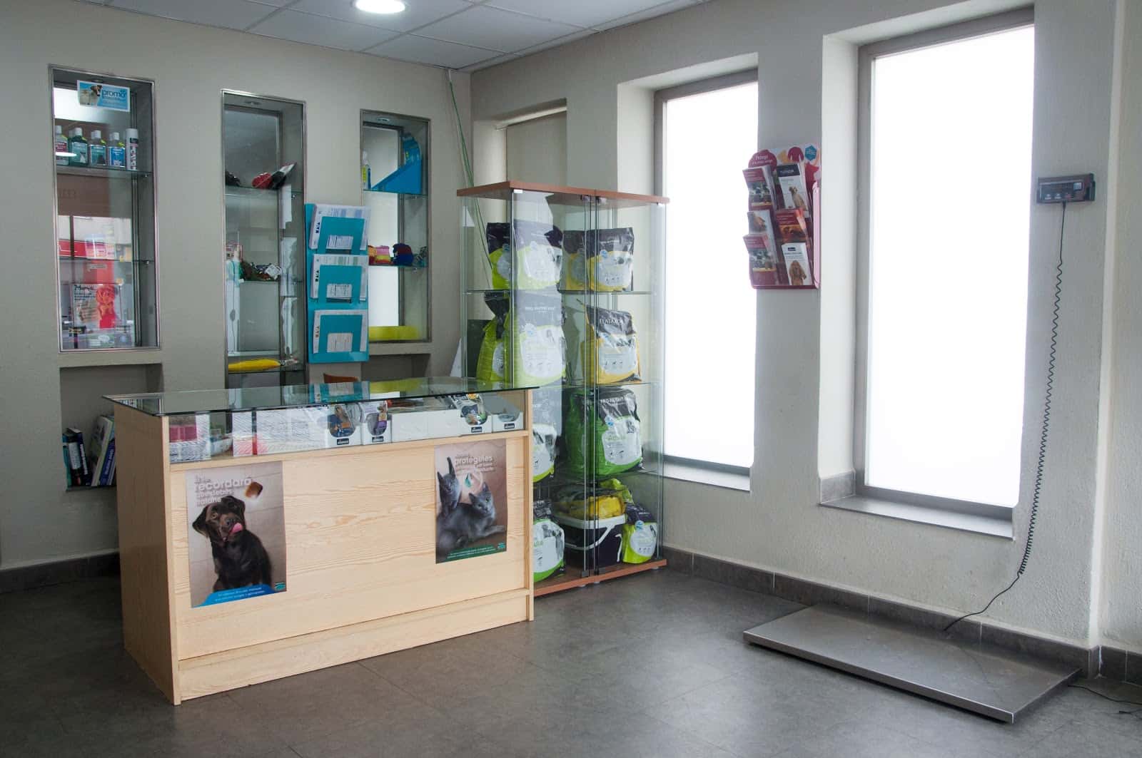 clinica veterinaria las gabias veterinario clinica en las gabias en granada principalImage ADOPTA Sitios Pet Friendly