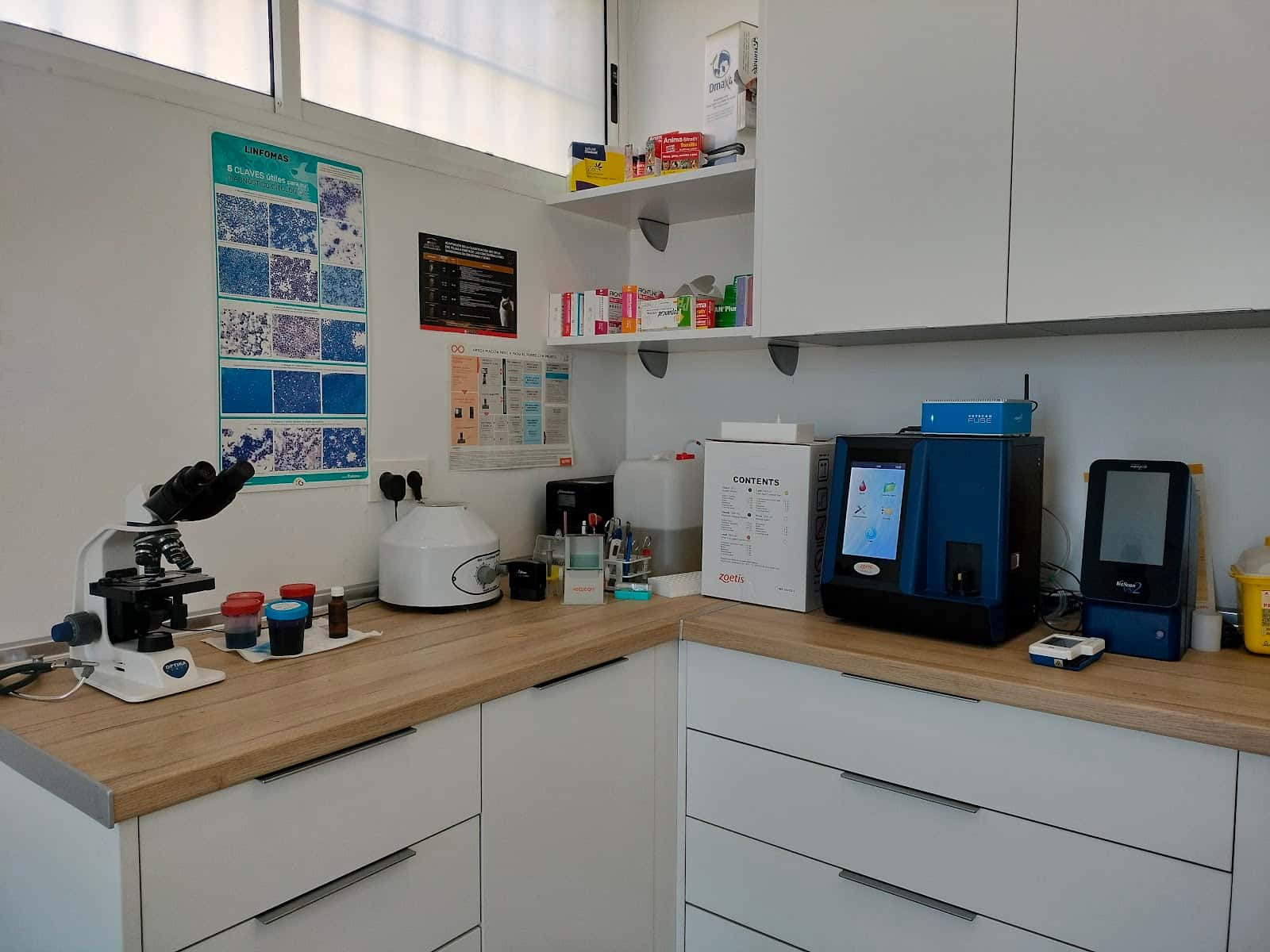 Áurea Servicios Veterinarios