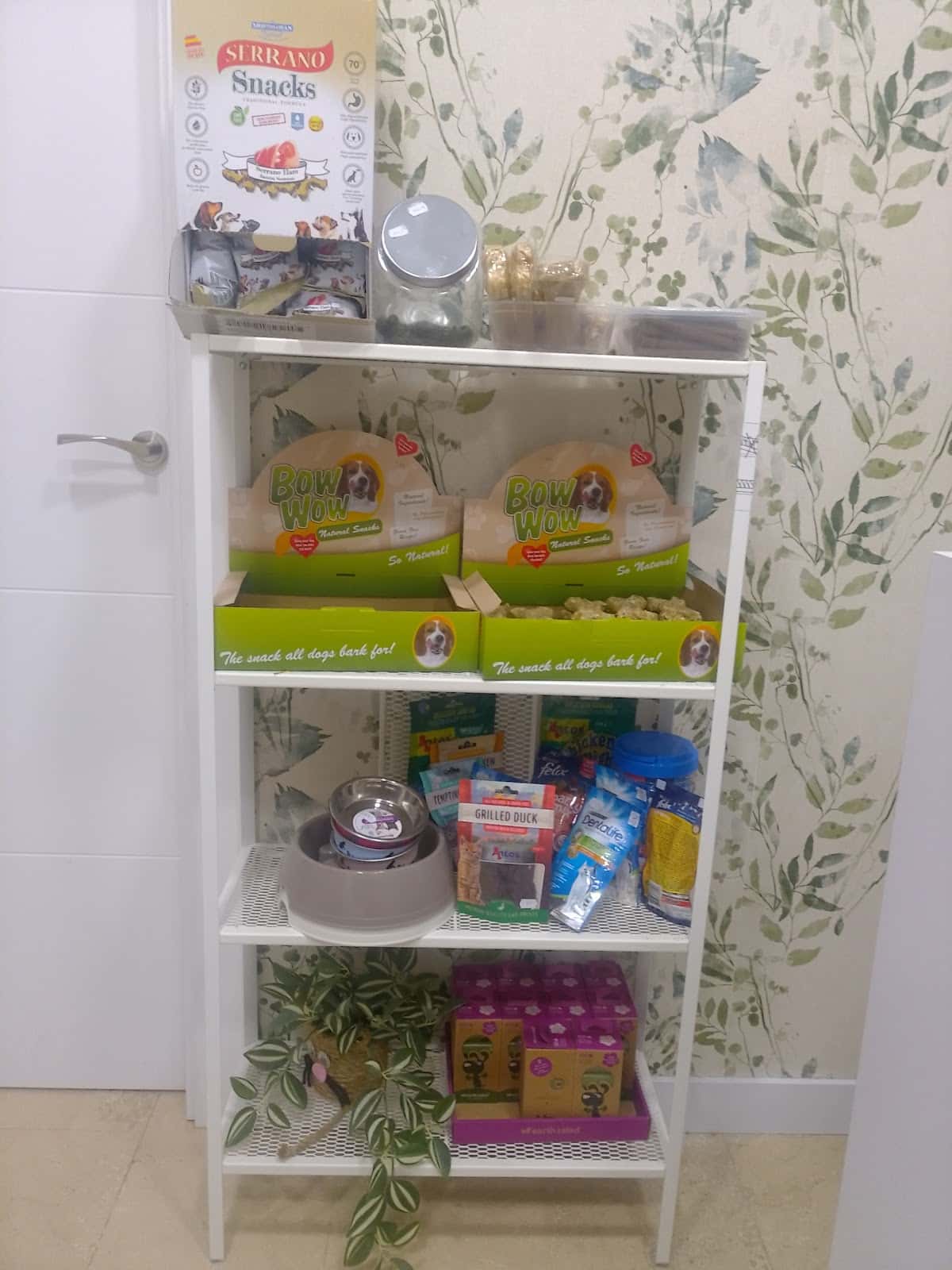 Áurea Servicios Veterinarios