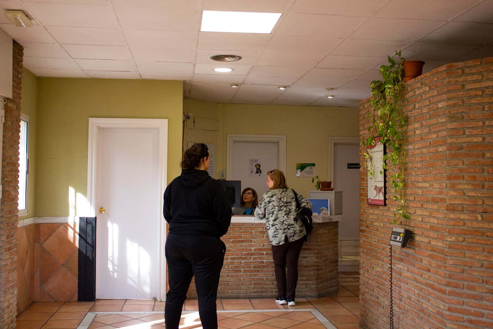 Centro Veterinario Sur