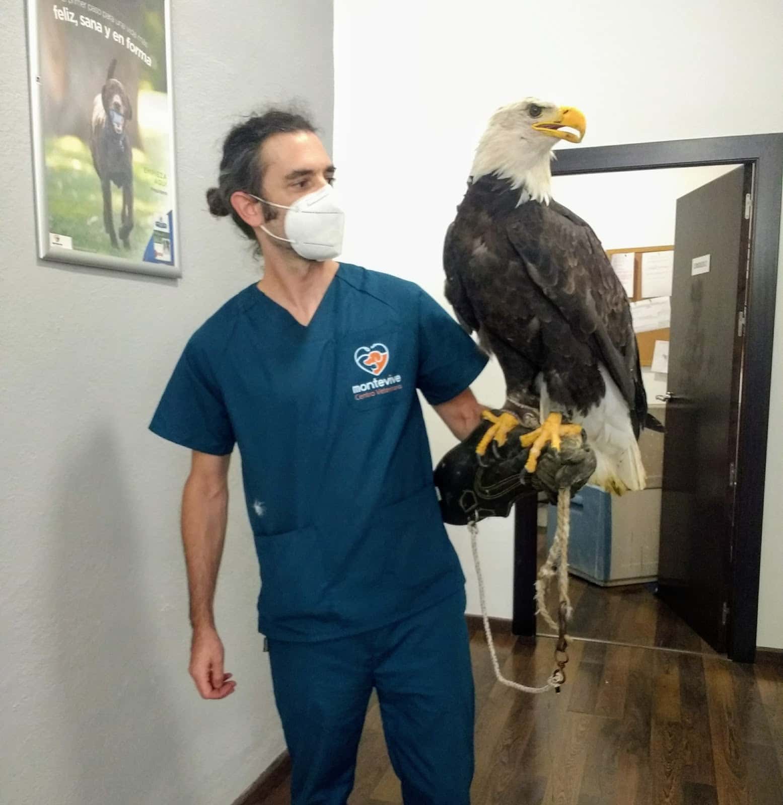 Veterinario Exóticos Granada