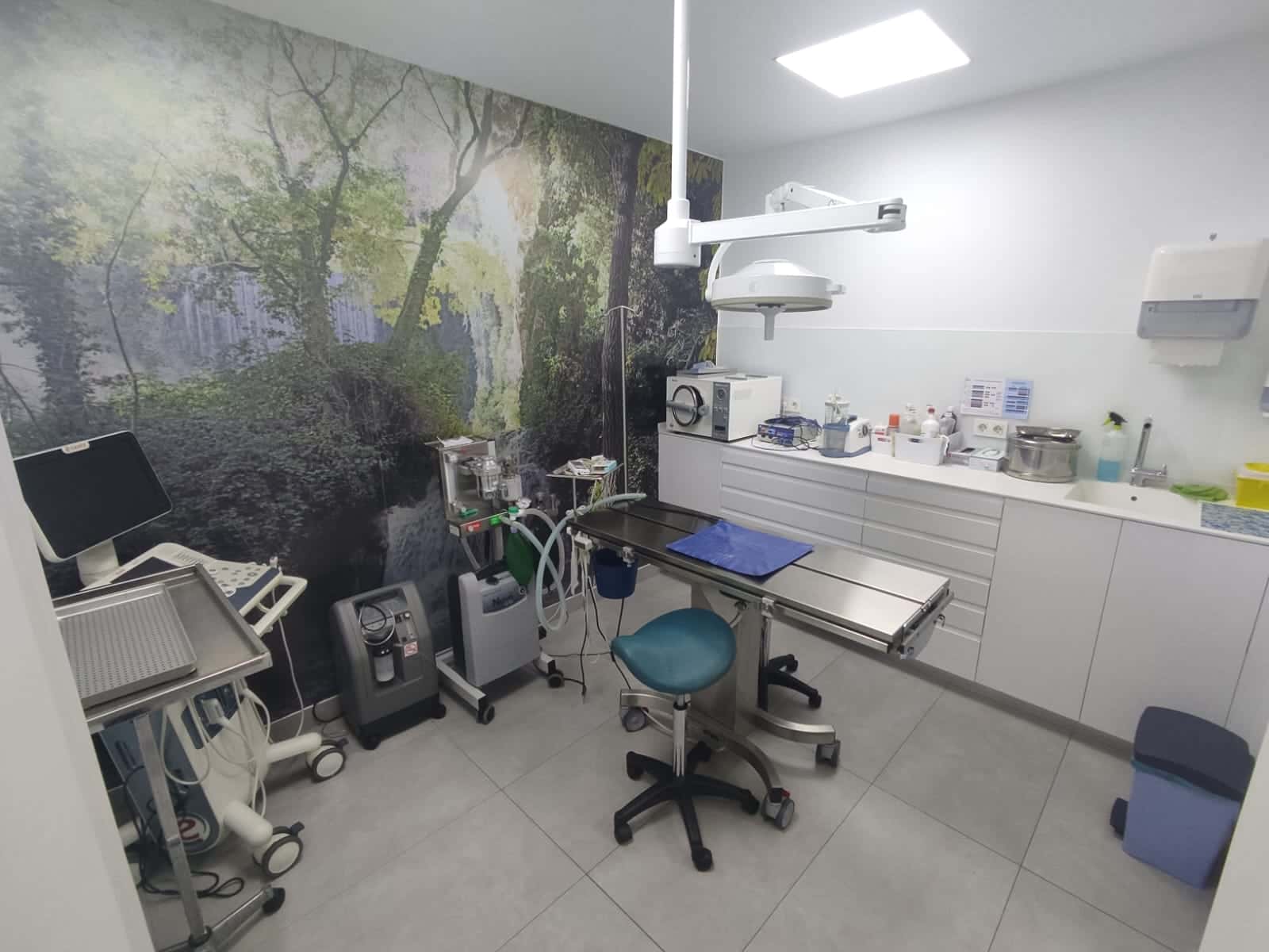 clinica veterinaria la zubia veterinario clinica en la zubia en granada principalImage ADOPTA Sitios Pet Friendly