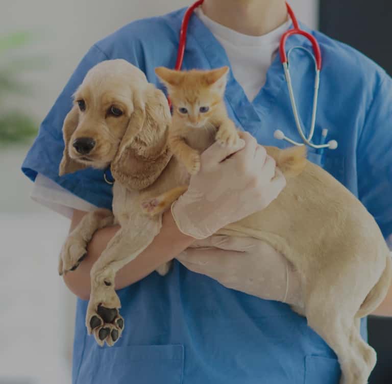 Consultorio Veterinario Santa Lucía