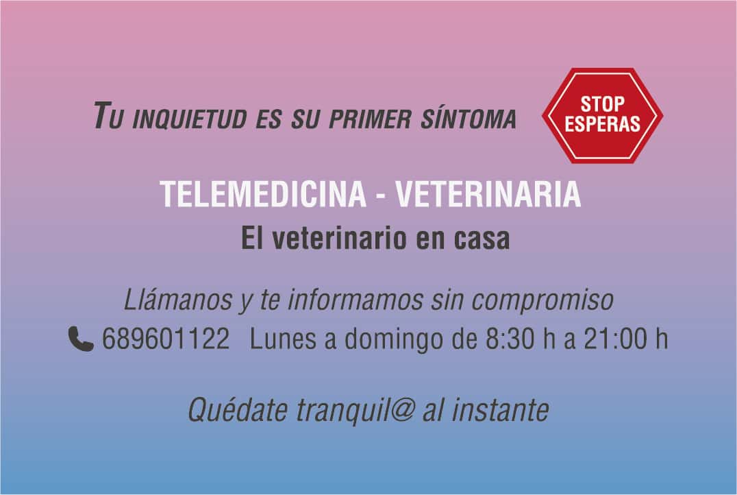telemedicina veterinaria otura veterinario centro en otura en granada photo undefined ADOPTA Sitios Pet Friendly